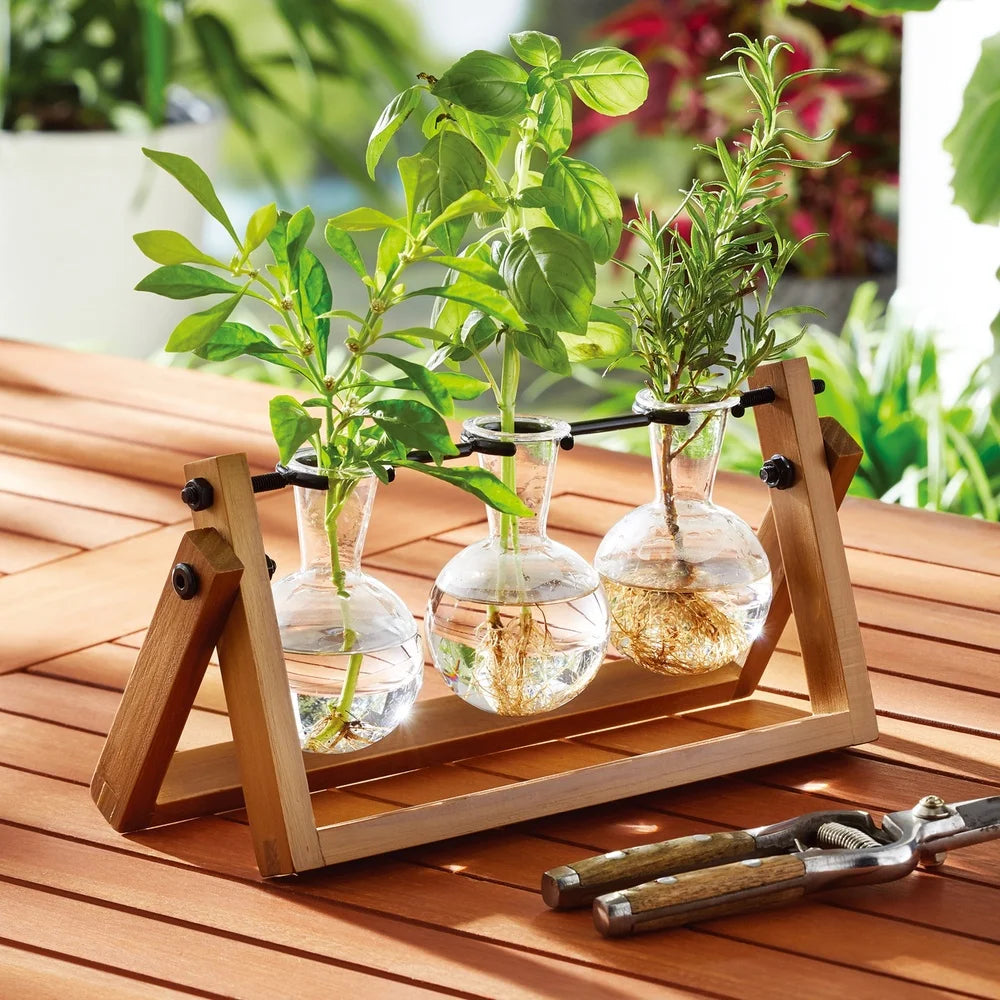 Glass Wood Propagation Station Set with 3 Bulb-Shaped Vases Stylish Indoor Plant Display Stand Cuttings and Flowers