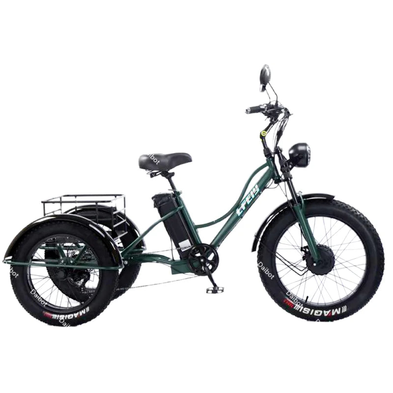 New 3 Wheel Electric Tricycle Cargo Bike With Passengers Elderly Adults 2 Seat 750W Powerful Off Road Electric Bicycle Mountain