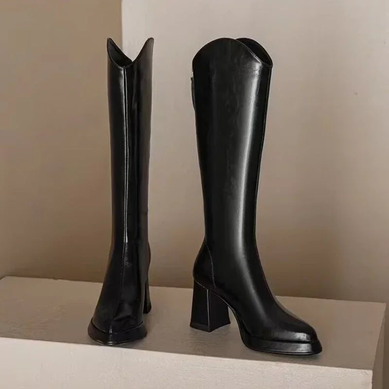 Shoes for Women 2024 New Fashion Pointed Toe Thick Heel Women's Knee High Boots Winter Warm Brown Long Boots