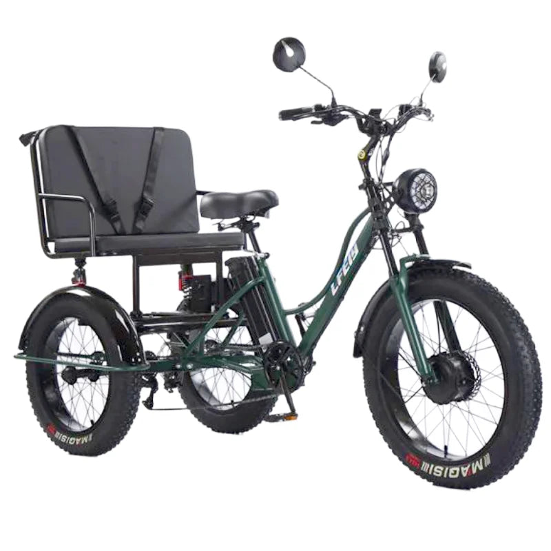 New 3 Wheel Electric Tricycle Cargo Bike With Passengers Elderly Adults 2 Seat 750W Powerful Off Road Electric Bicycle Mountain