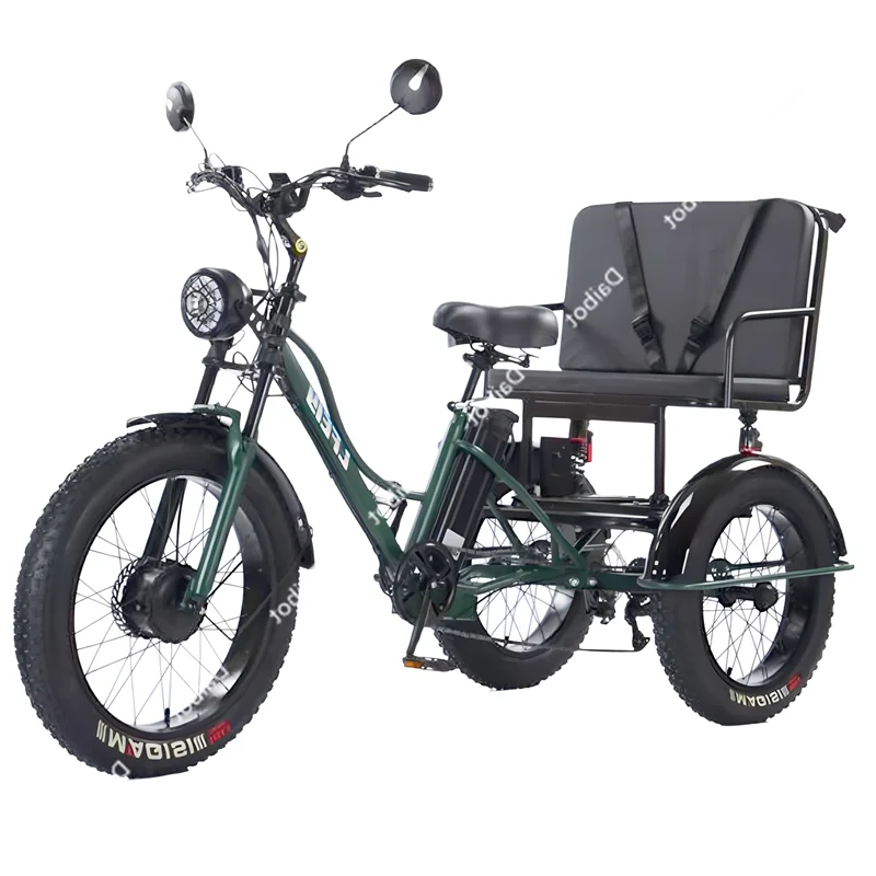 New 3 Wheel Electric Tricycle Cargo Bike With Passengers Elderly Adults 2 Seat 750W Powerful Off Road Electric Bicycle Mountain
