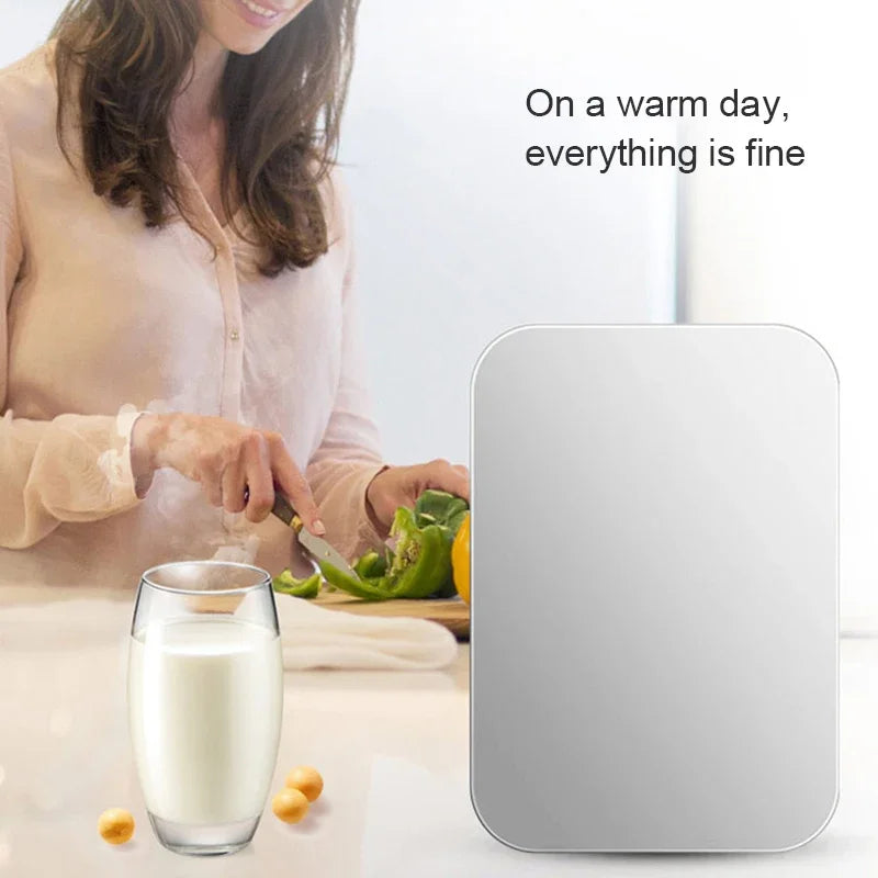 6L Mini Car Refrigerator 12V DC 220V AC Electric Portable Beauty Cooler Warmer Car Mini Fridge Ice Box for Home Camping Travel