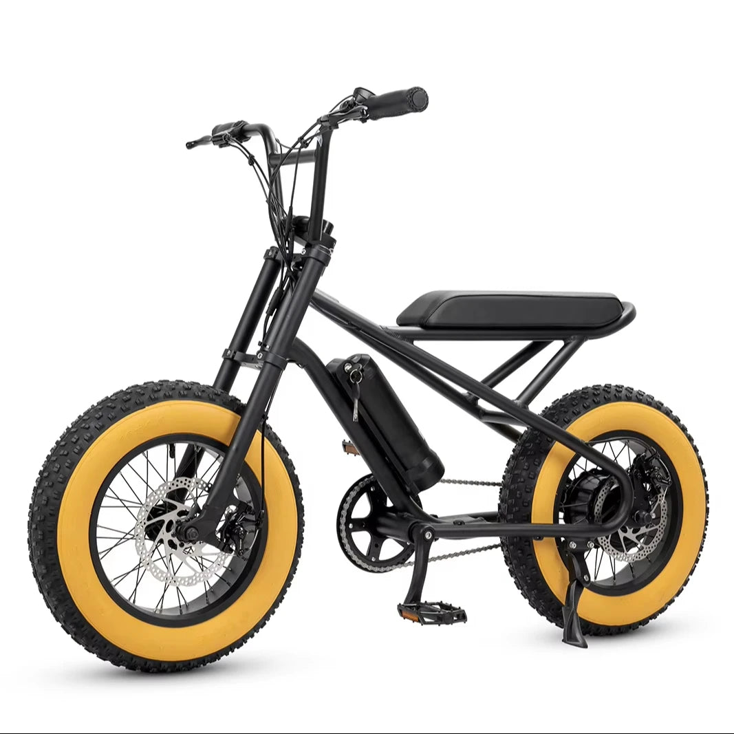 Price Offer High Quality Children 16 inch Electric Bike Electric Motorcycle 250W City EBike Source Factory