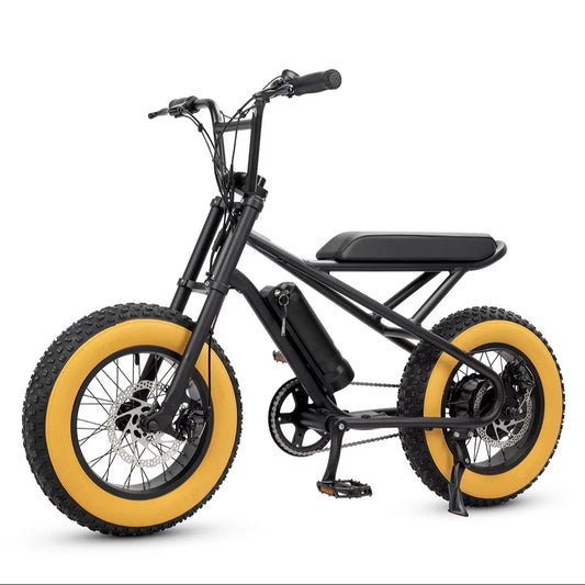 Price Offer High Quality Children 16 inch Electric Bike Electric Motorcycle 250W City EBike Source Factory