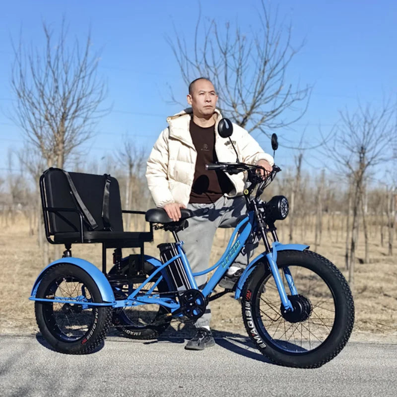 New 3 Wheel Electric Tricycle Cargo Bike With Passengers Elderly Adults 2 Seat 750W Powerful Off Road Electric Bicycle Mountain