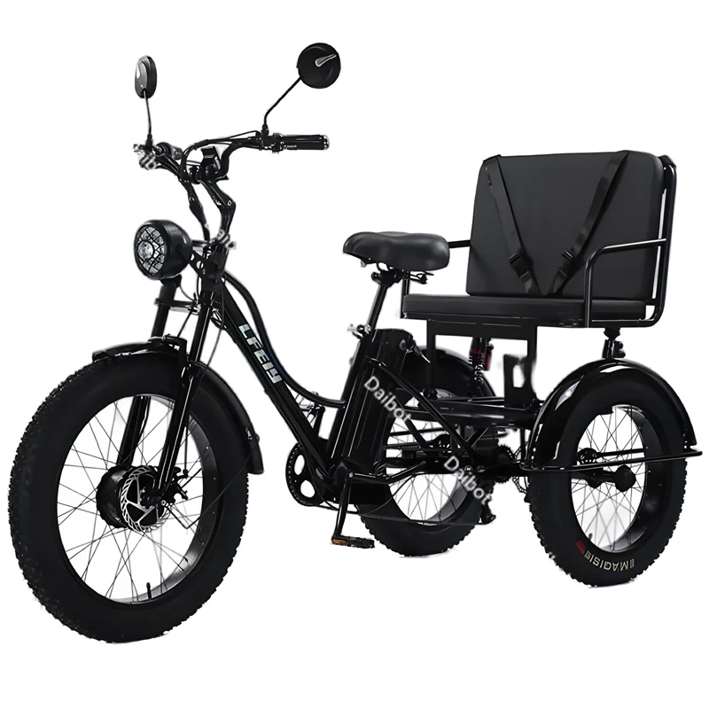 New 3 Wheel Electric Tricycle Cargo Bike With Passengers Elderly Adults 2 Seat 750W Powerful Off Road Electric Bicycle Mountain