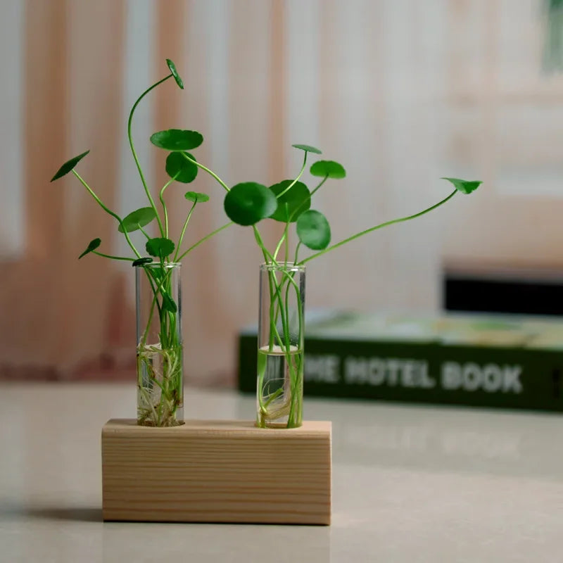 Creative Wooden Frame Hydroponic Flower Small Vase Plant Glass Bottle Container for Home Living Room Office Decoration