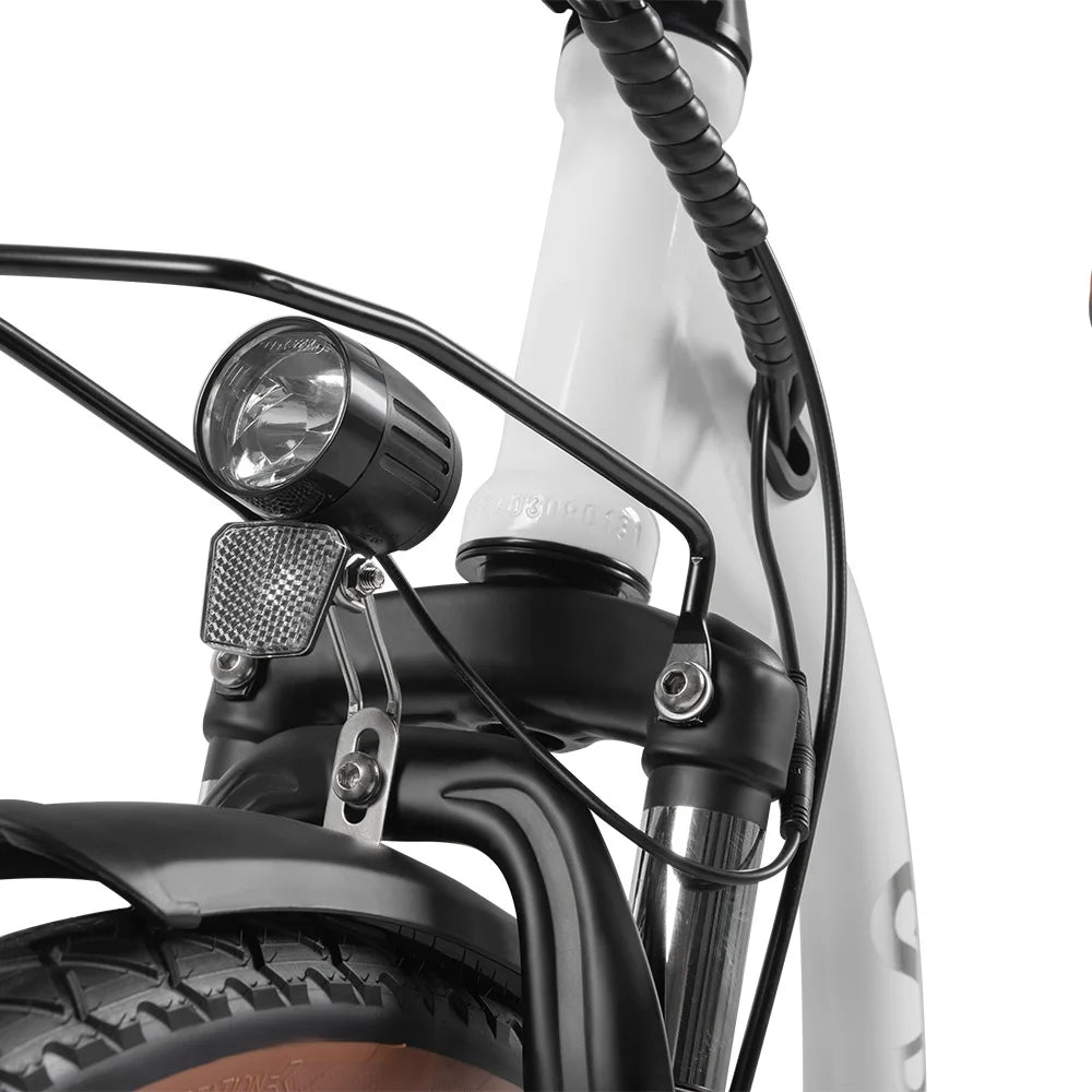 DYU-26 C6 Pro Electric Bike for Adults, Bike with 250W Motor, 15.6 Ah Battery, 36V, Fashion Version