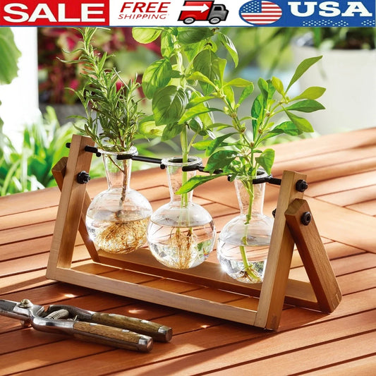 Glass Wood Propagation Station Set with 3 Bulb-Shaped Vases Stylish Indoor Plant Display Stand Cuttings and Flowers