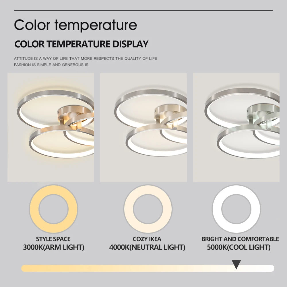 L8002 Led Ceiling Light with Adjustable Color Temperature, 110V Dc Power Supply, Energy-Saving Model, Safety Certified, Dimmable, Supports Dimmer Switch, Modern Minimalist Style