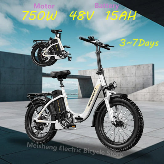 Ebike S3 750W 20Ah 48V Lithium Battery Electric Bicycle Hub Motor Adult Women's Electric Bicycle Suitable for Beach City