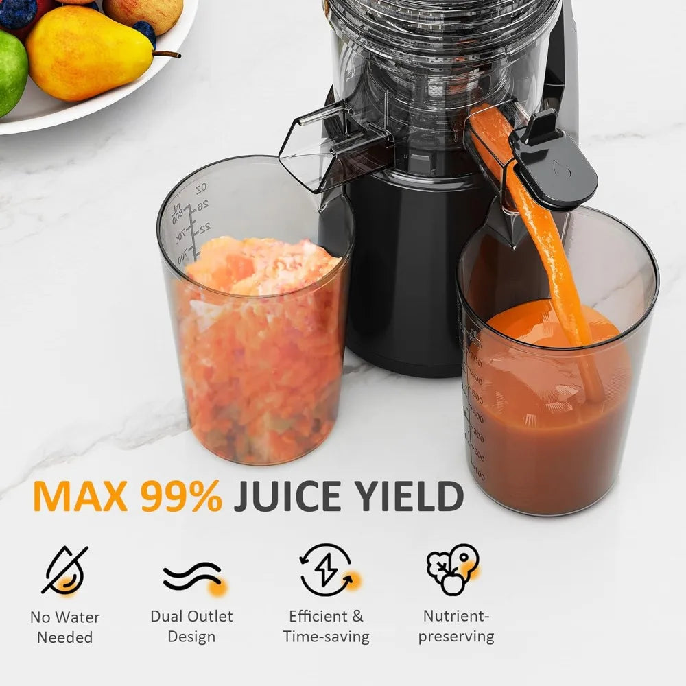 Cold Press Juicer with 5.9 Wide Feed Chute, 250W Slow Masticating Juicer Machines Fit Whole Vegetables & Fruits, Easy to