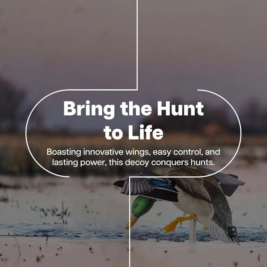 Avian X Powerflight Smart Motion Mallard Spinning Wing Realistic Design Duck Decoy Ideal for Outdoor Hunting Adventures 3 Pack