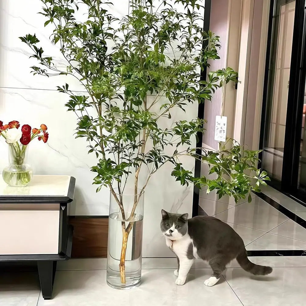 Clear Acrylic Cylinder Vase, Large Floor Standing, Wide Mouth, Unbreakable, 20 Tall, Set of 3, Hurricane Flower Vases for Home D