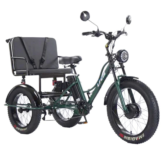 New 3 Wheel Electric Tricycle Cargo Bike With Passengers Elderly Adults 2 Seat 750W Powerful Off Road Electric Bicycle Mountain