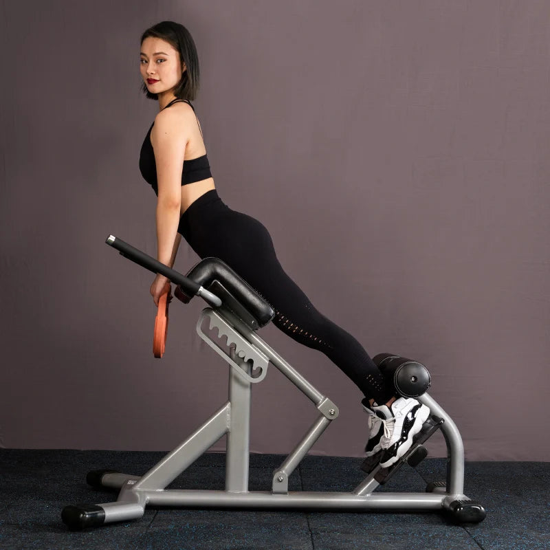 Multifunctional Roman Chair Unisex Indoor Home Fitness Equipment Dumbbell Bench & Shepherd Stool Black Carton Box 1 Set
