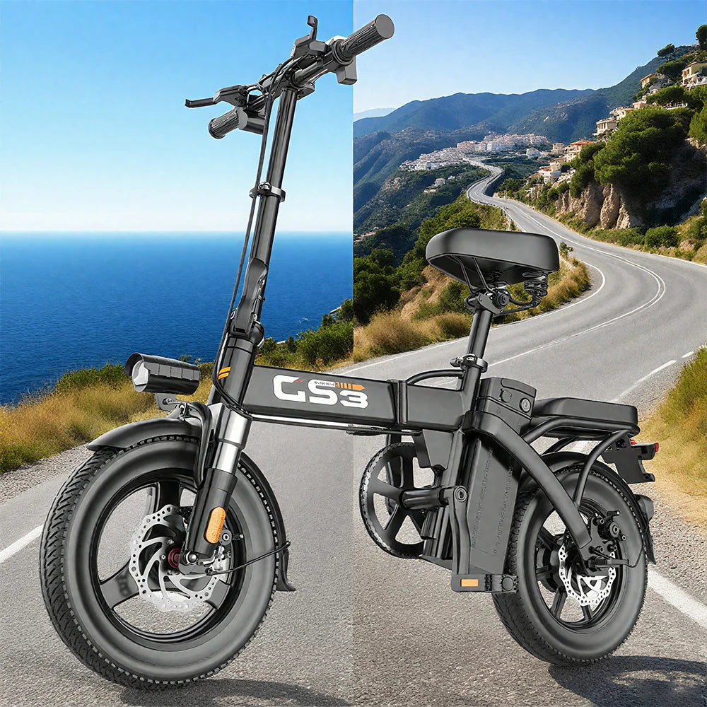 TOOFLY GS3 Folding Electric Bicycle 250W Motor 48V15AH Removeable Lithium Battery Adult Electric Bike City Riding Commute Ebike