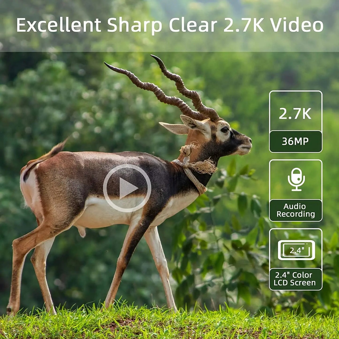 Trail Camera Wireless Hunting Cameras  36MP 2.7K 940NM IR Wildlife Night Vision PhotoTraps HC812A Surveillance Cams