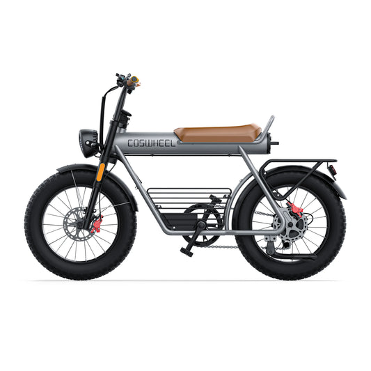 Coswheel CT20 Electric Bike 48V 25AH 1000W 55Km/h Electric Bike Fat Tire Bike Adult Electric Bike Free Rear Rack + Fenders