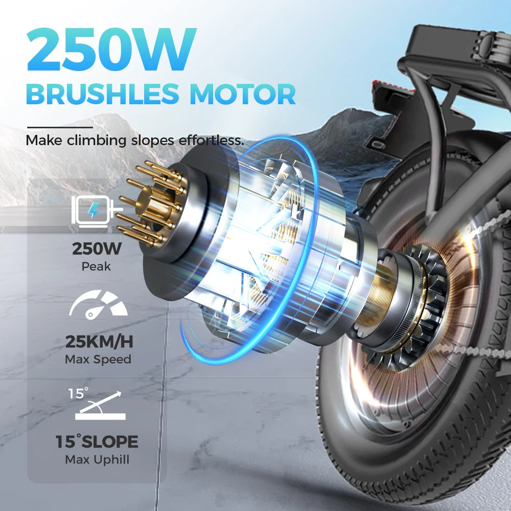 TOOFLY GS3 Folding Electric Bicycle 250W Motor 48V15AH Removeable Lithium Battery Adult Electric Bike City Riding Commute Ebike