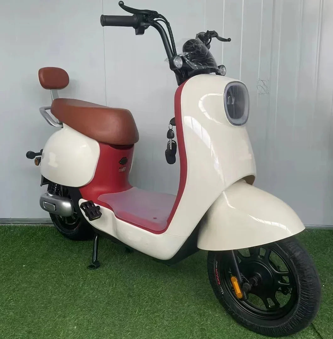 Electric Motorcycle Adult Transportation Battery Car, Small Scooter