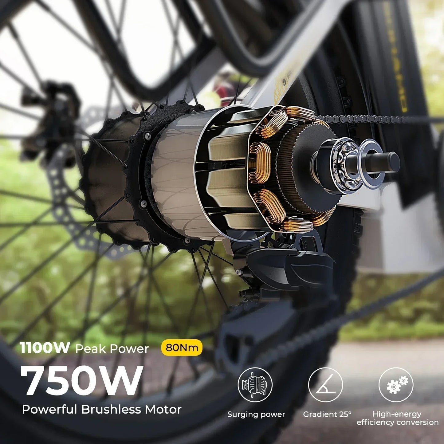 Ebike S3 750W 20Ah 48V Lithium Battery Electric Bicycle Hub Motor Adult Women's Electric Bicycle Suitable for Beach City